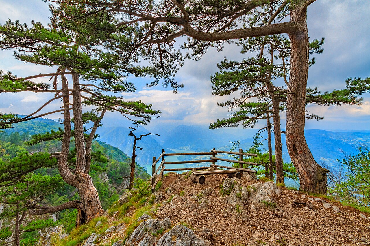 Vidikovac Banjska stena, Nacionalni park Tara, Srbija